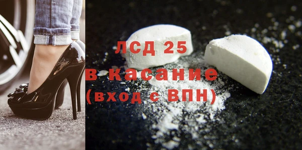 стаф Аркадак