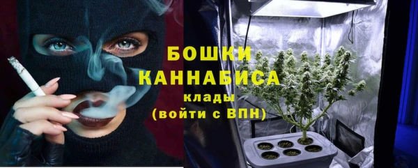 стаф Аркадак